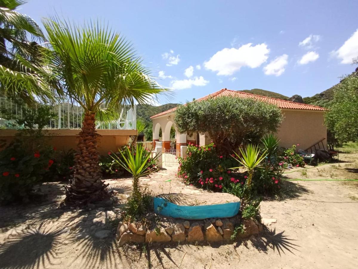 Casa Las Vicarias Olvera Kültér fotó
